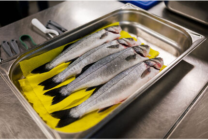 Jednou z povinných surovin semifinálového kola byl čerstvý mořský vlk